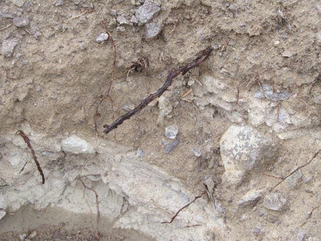 20-acre lode gold and gem mining claim - Mining claim photo