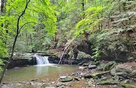 JOSE'S FORTUNE - TRONSON CREEK NORTH OF LIBERTY mining claim in LIBERTY, WA